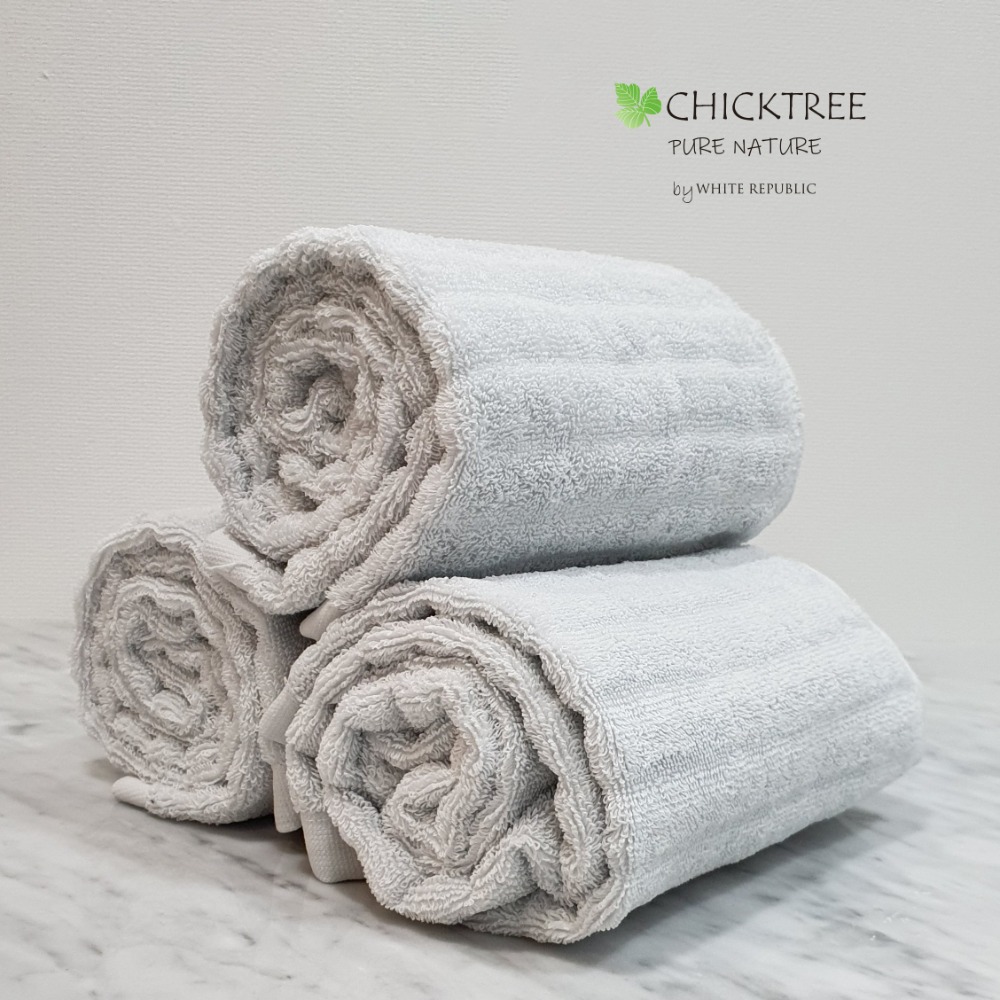 Chicktree Hydro Cotton Sports Towel (White/Mint)3P(39,000원)