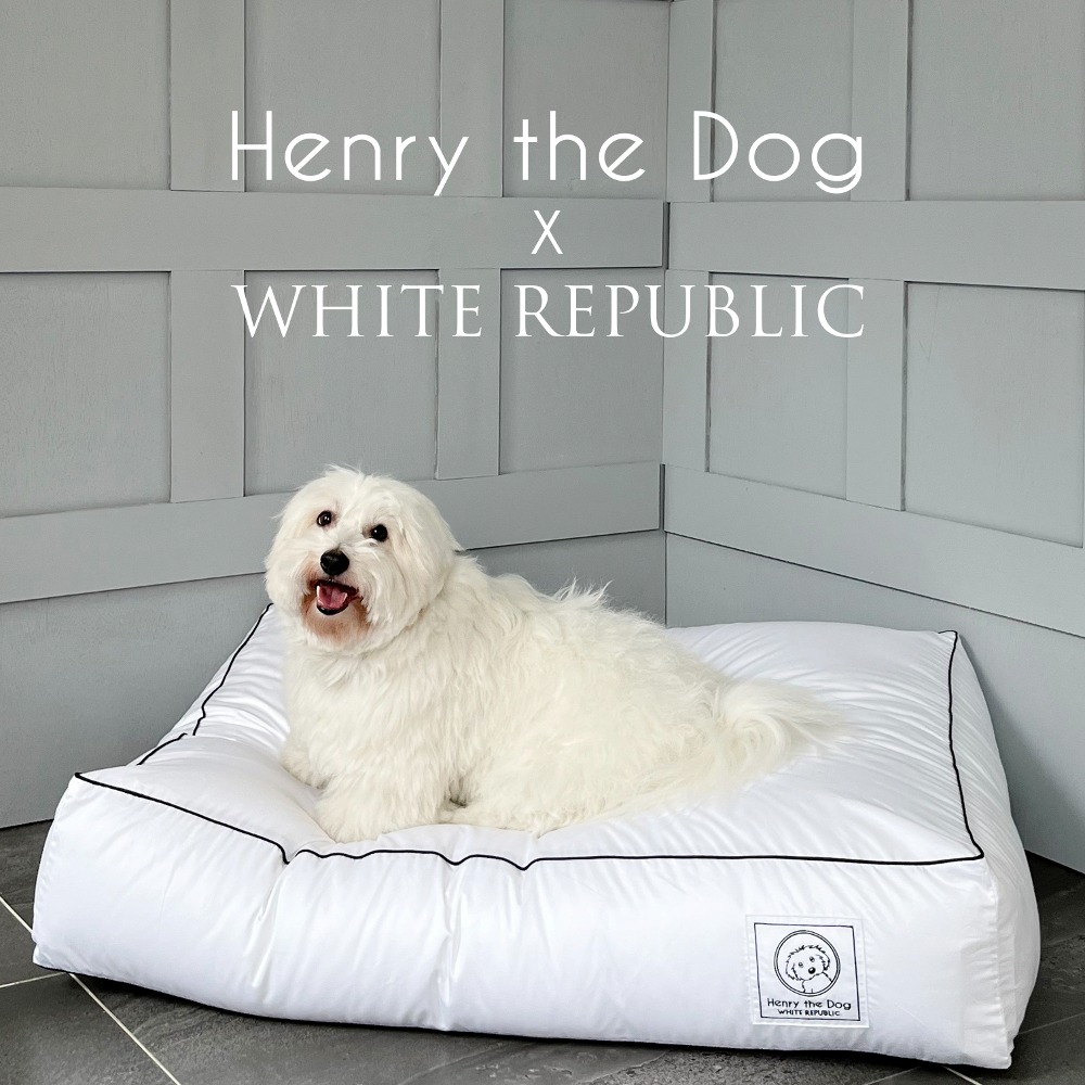 [NEW] [SET] 애견 호텔침구 세트  Henry the Dog Lux Signature Collecion (Black Piping) SET