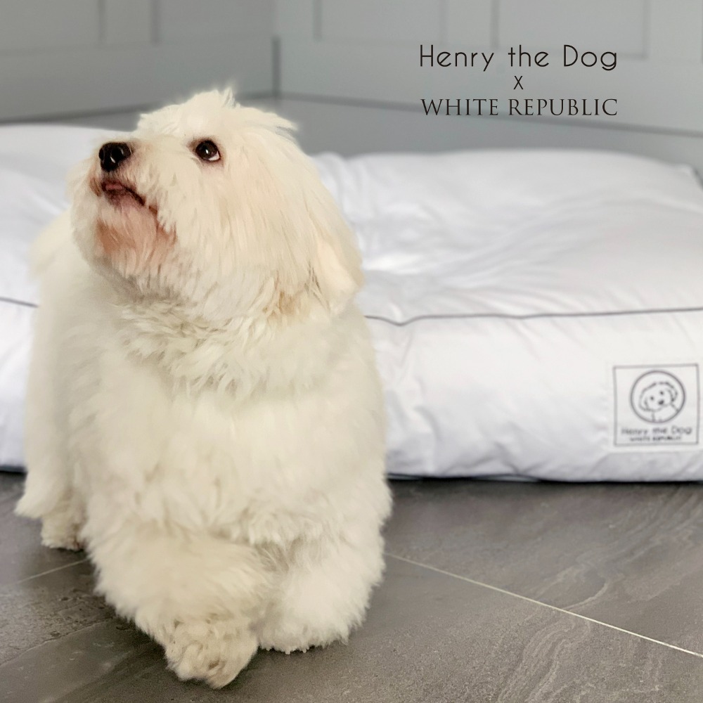 [NEW] 애견 호텔침구 커버 Henry the Dog Hotel Bedding Collecion Cover