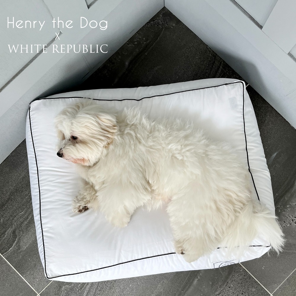 [NEW] 애견 호텔침구 쿠션솜 Henry the Dog Ultra MicrofIber Cushion