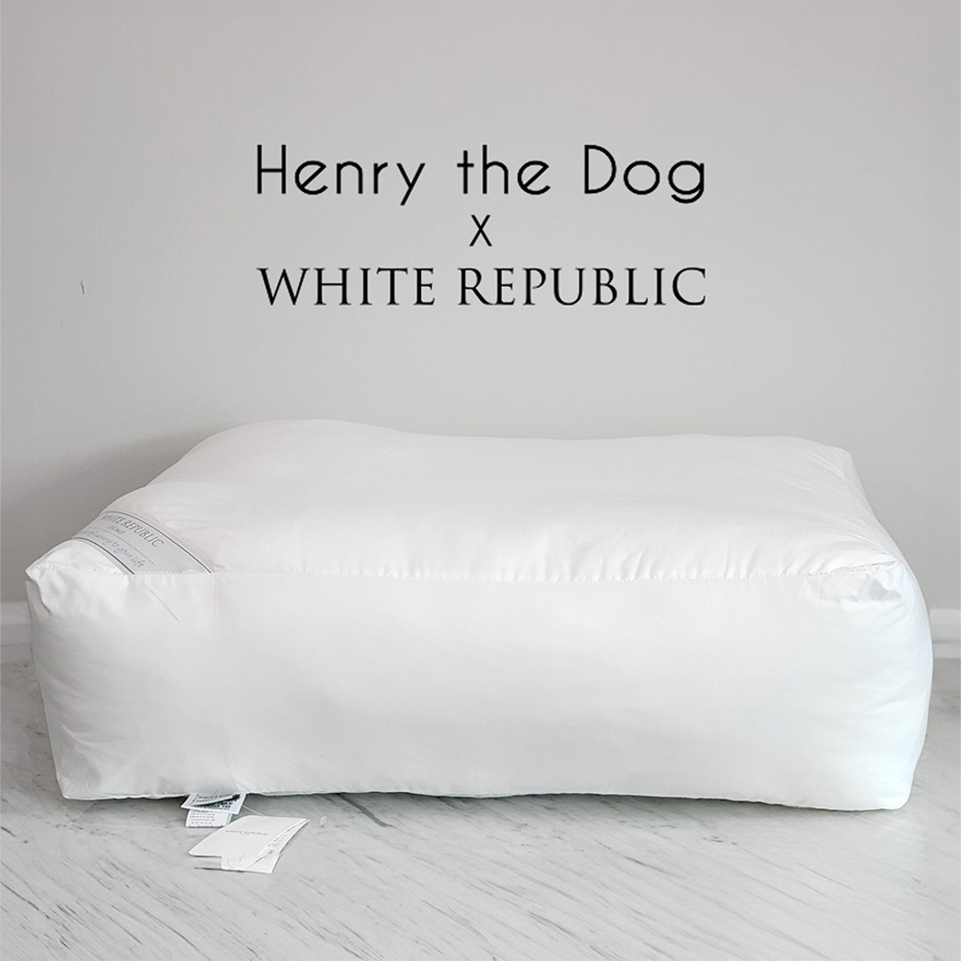 [Henry the dog] 애견 호텔침구 쿠션솜 Ultra MicrofIber Cushion (LS,S,M,L,XL) (커버별도)