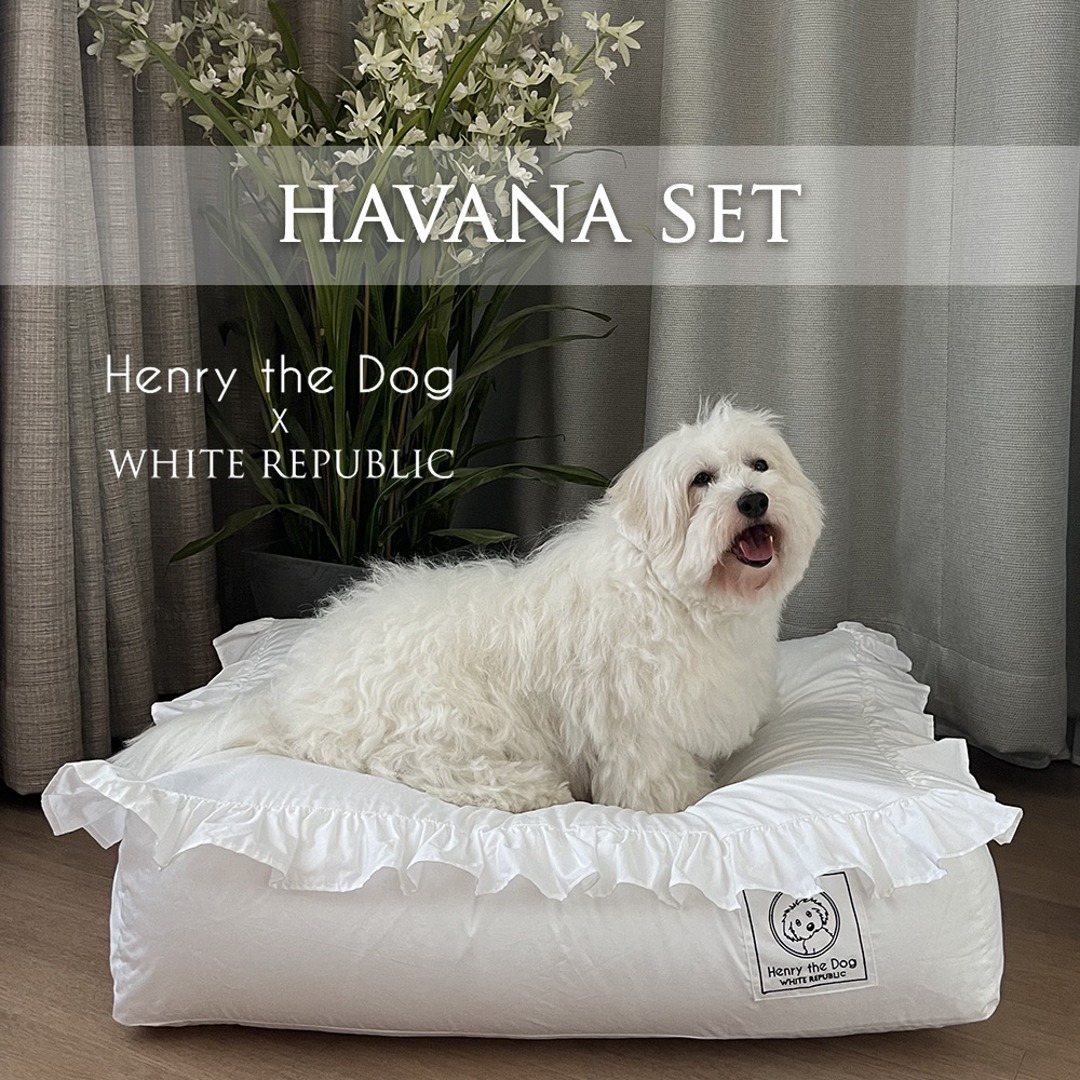[SET] [Henry the dog] Havana Hotel Bedding 솜포함 세트 (LS,S,M,L,XL)