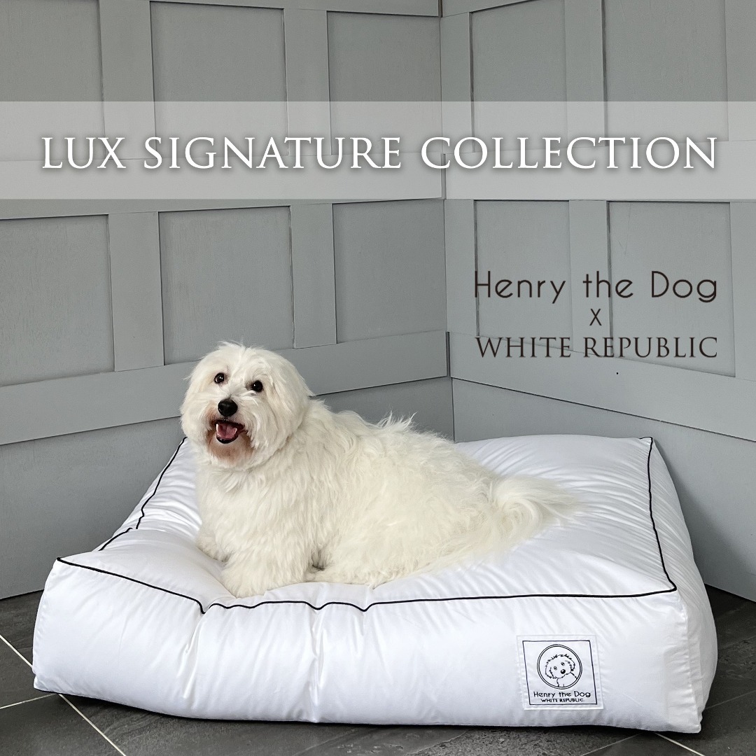 [Henry the dog] Lux Signature Hotel Bedding Cover (LS,S,M,L,XL) (솜별도)