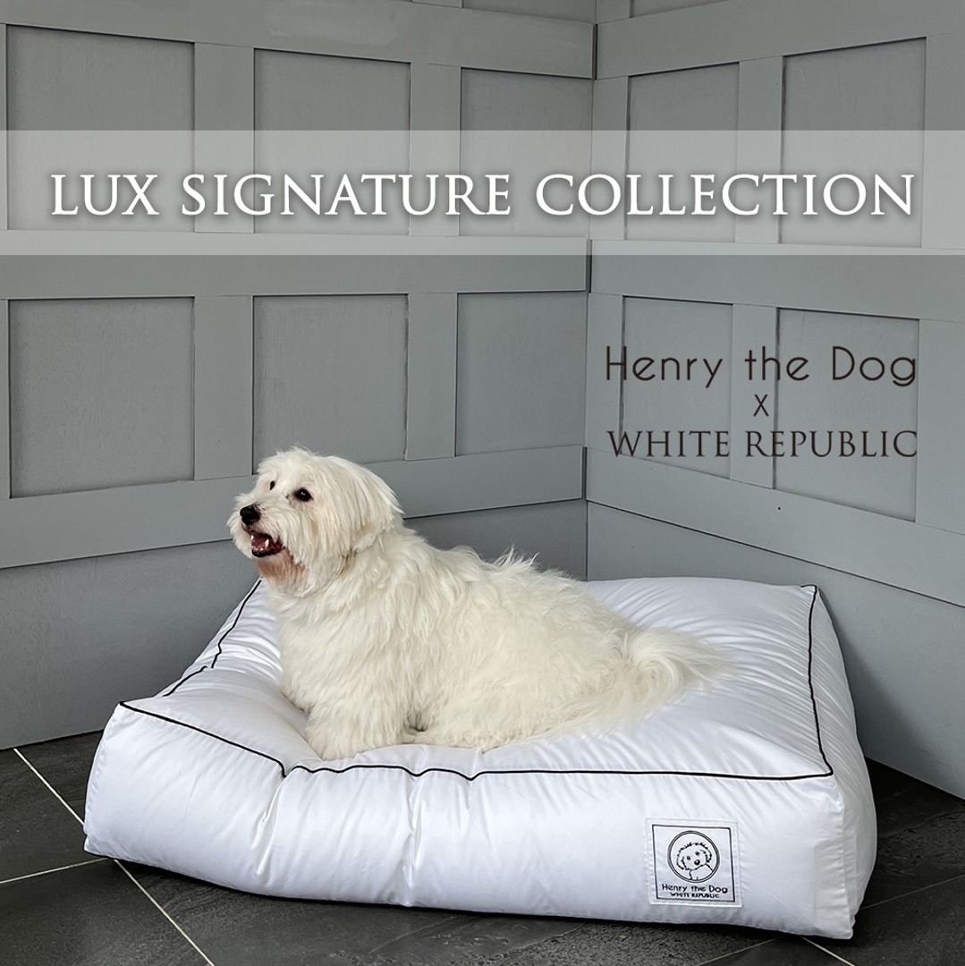 [Henry the dog] Lux Signature Hotel Bedding Cover (LS,S,M,L,XL) (솜별도)