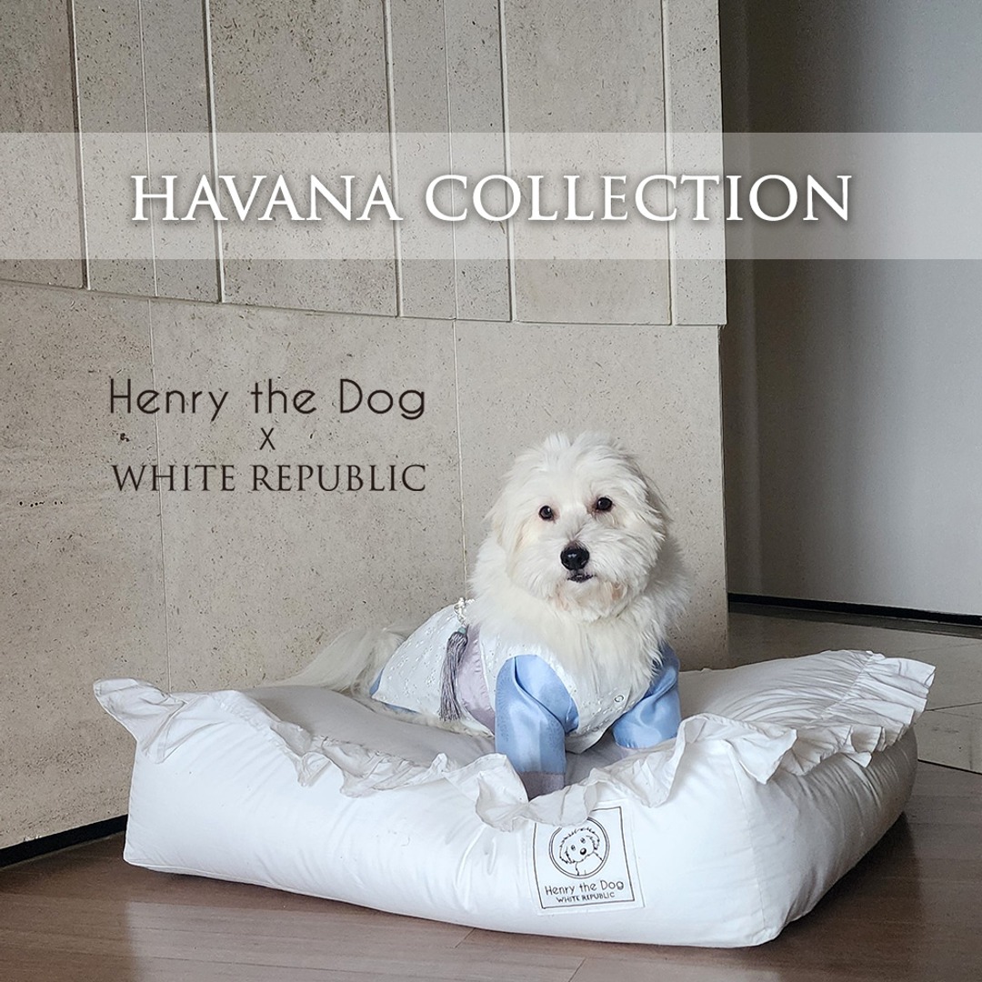 [Henry the dog] Havana Hotel Bedding Cover (LS,S,M,L,XL) (솜별도)