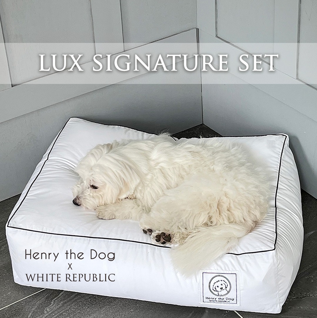 [SET] [Henry the dog] Lux Signature Hotel Bedding 솜포함 세트 (LS,S,M,L,XL)